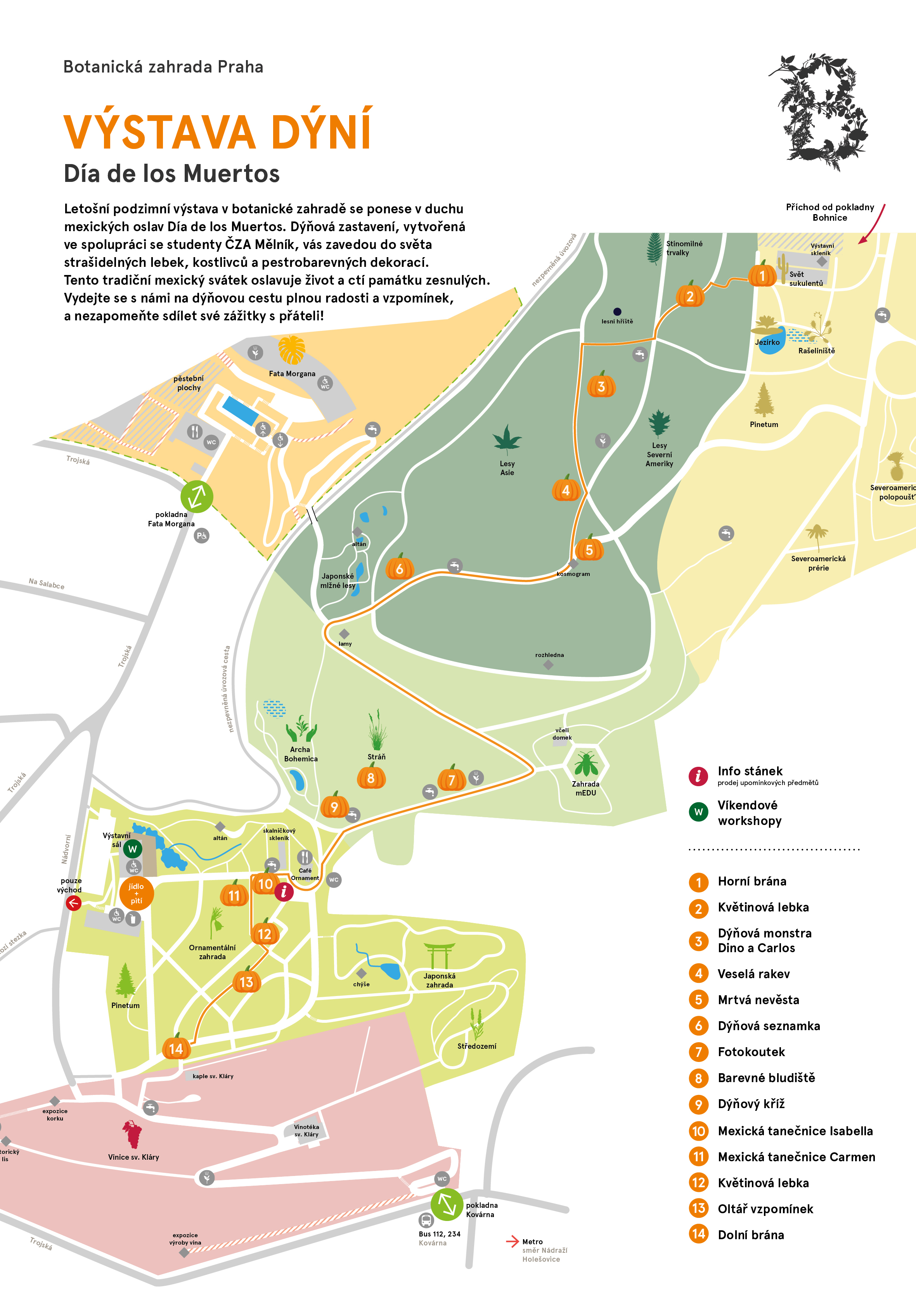 MVS_MAPA_DYNE_2024_1