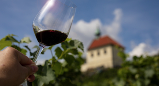 Charles IV's Favorite Variety and the Vineyards of Prague